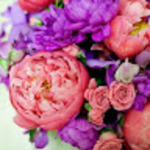 Meet your Posher, Maria rose